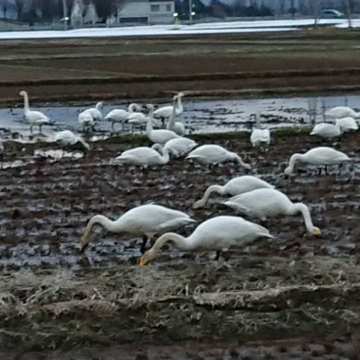 C473712c 4f85 4c72 aeb4 2b562ec92c9c 1615973068578