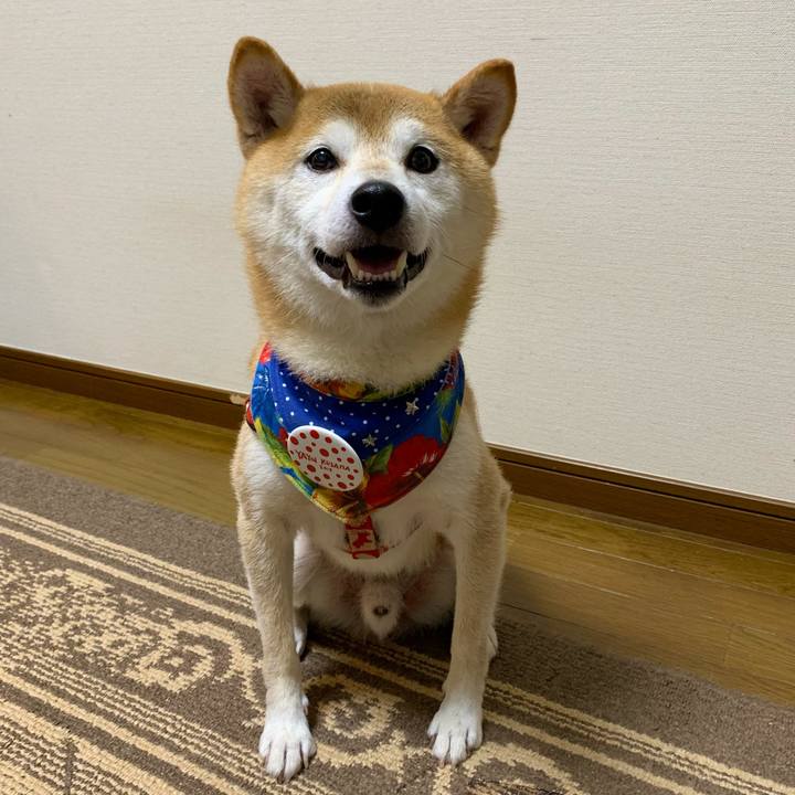 C47376c7 1e7c 4ec0 882d c996ab49ca04 1631443591115