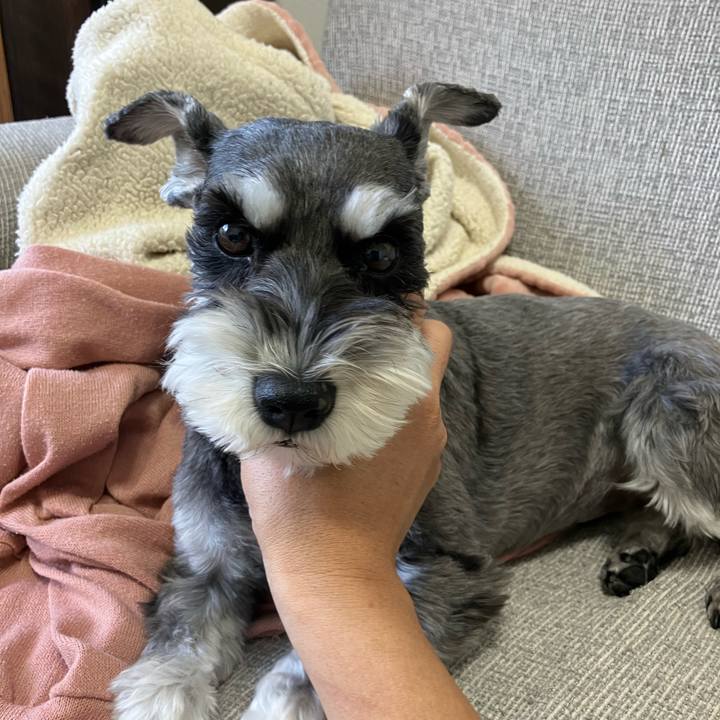 C47390fe 1e37 4eb9 9b5e 3e5225ffe4ef 1761181177638