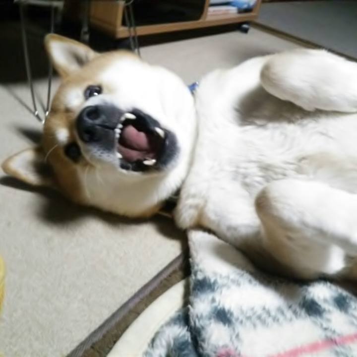 C47393e7 f3b2 4596 ad9b a913ff56a64b 1548771720153