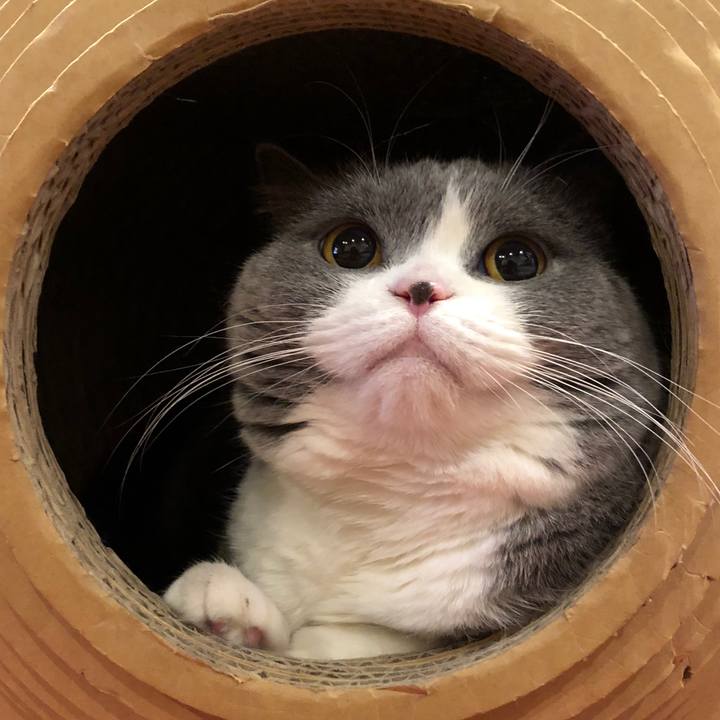 C473e265 213d 4347 b987 b5e50416febe 1512545324773