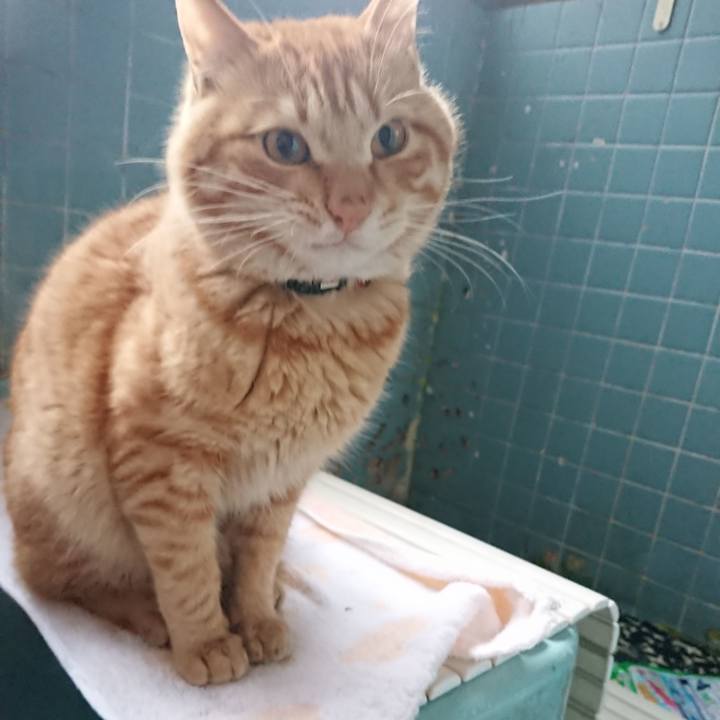 C473eef4 aaa4 4edb a88d 8bfff73e7aac 1648716227462