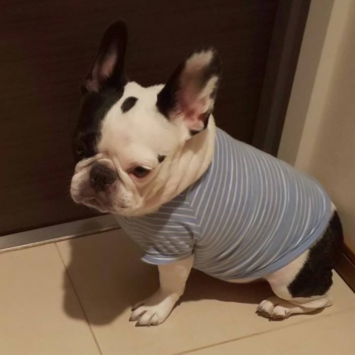 C4740131 fb88 48f4 8d14 cac30ef38fb7 1568189362820