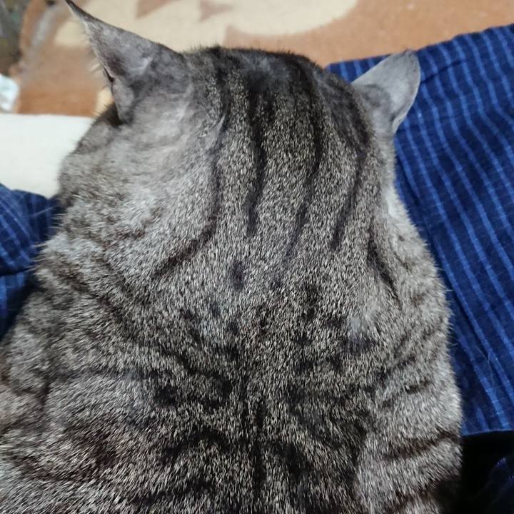 C47439f4 9ab5 4af4 ad77 348525eaaec6 1547733630718