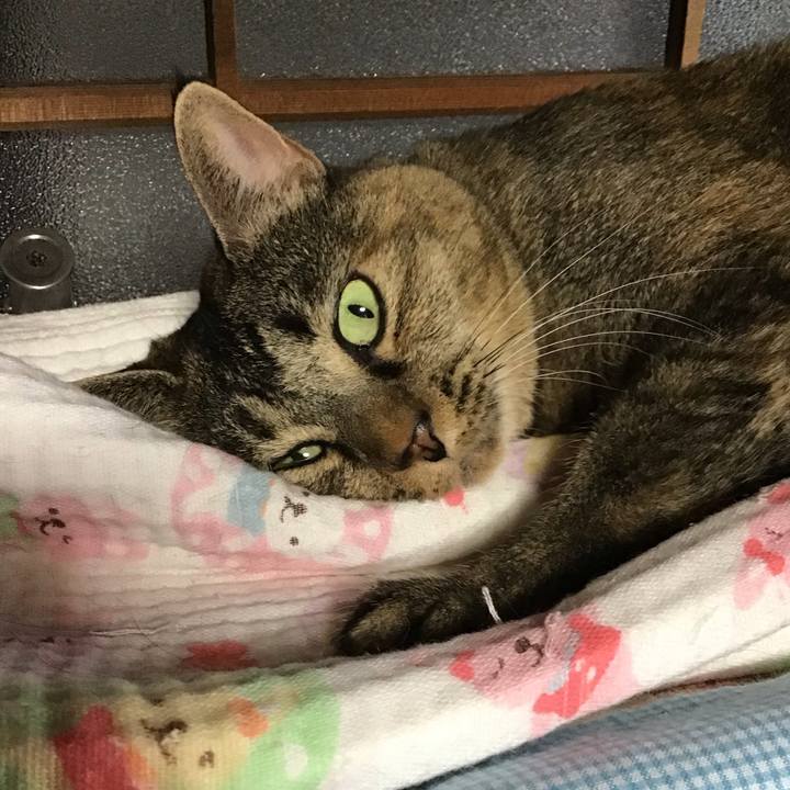 C4743e60 f452 4ada bf8f dedd1f1068f4 1757230167656