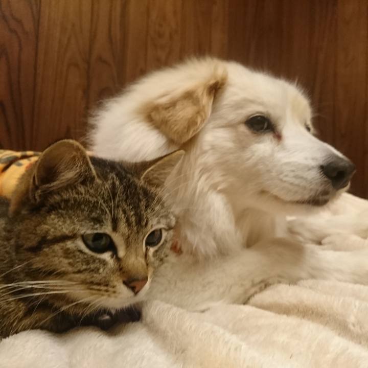 C474975e 1bd5 4772 b7d6 403e33c67648 1640098423307