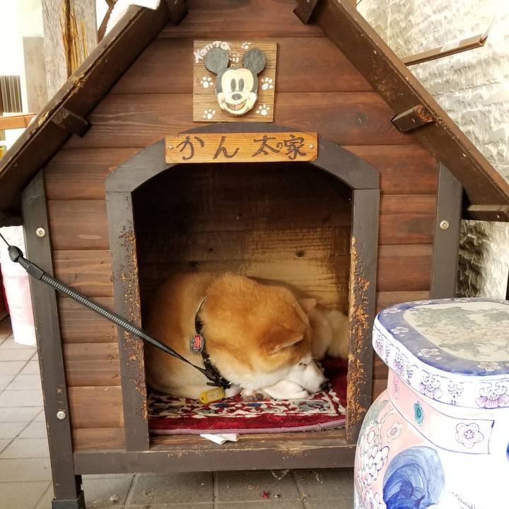 C474bc02 b98d 42e3 a5f4 94b8def3acc8 1591143180728