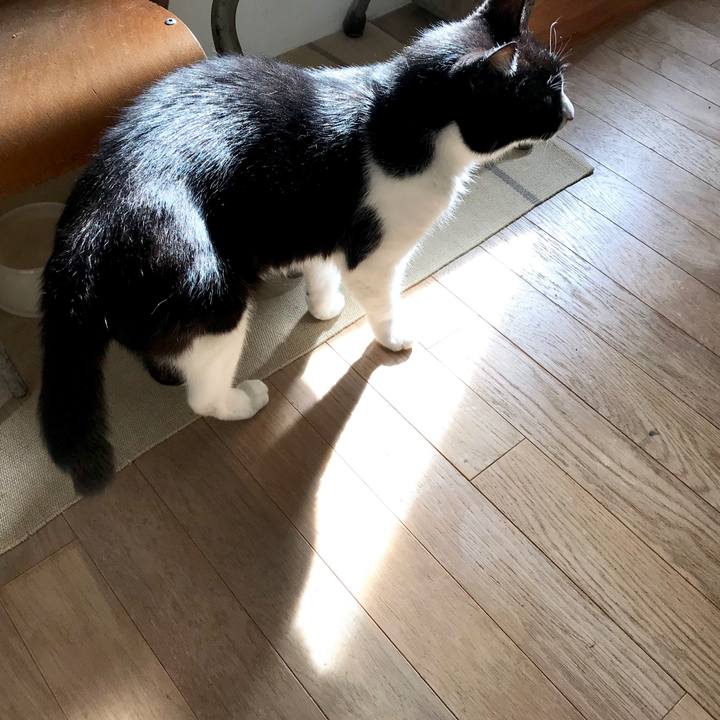 C474cce5 cc1b 423c ac68 28b4dee9a110 1520055795607