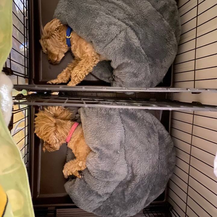 C474ce1a 3d89 4c51 9b27 dcd7c92b07a2 1675809702778