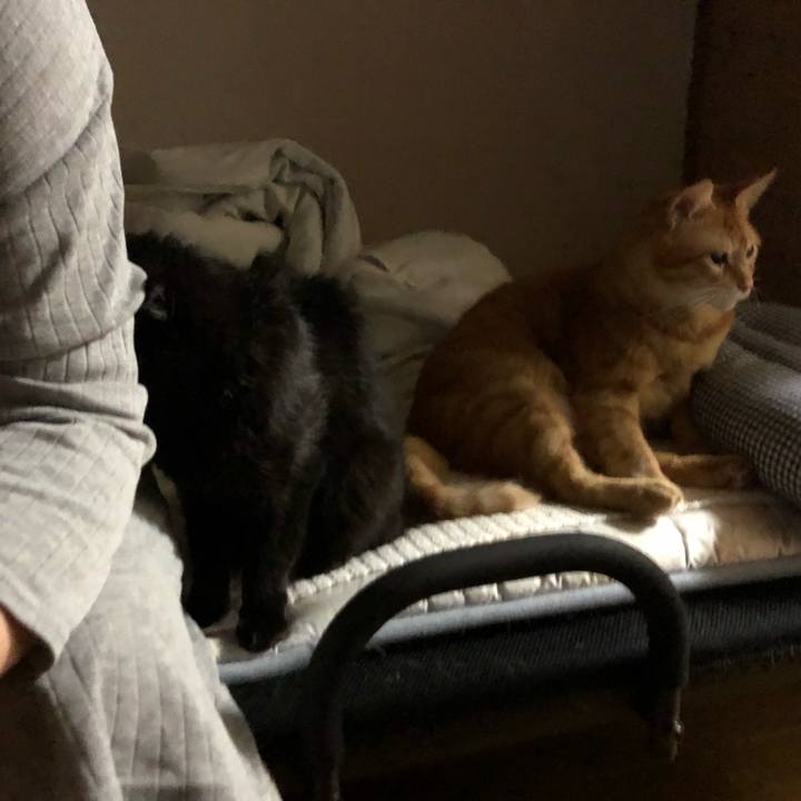 C474e3cf a8f8 4692 80d2 db5af0f838d0 1598272436663