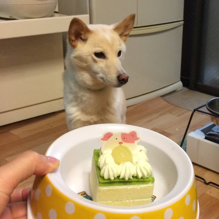 C474e573 60f2 4591 bded 9dbdc5aa6314 1545474076841