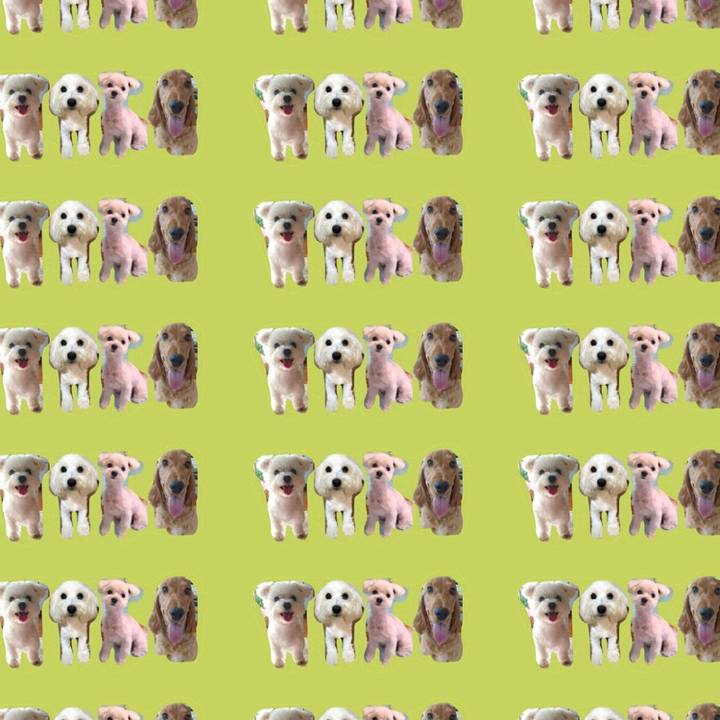 C4750484 83d4 49d3 9e84 2946dc60f3d2 1532444507675