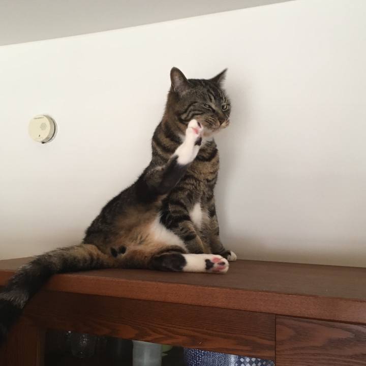 C4754a5c f197 4a90 bc11 019ced49590d 1528763480107