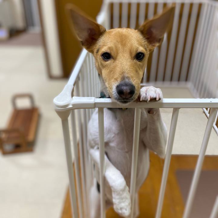 C4756b20 8d4c 4dab a16b 9981a5199414 1766403919334