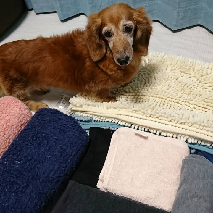 C475981f 8664 4b5e a818 e303722bd665 1507369423163