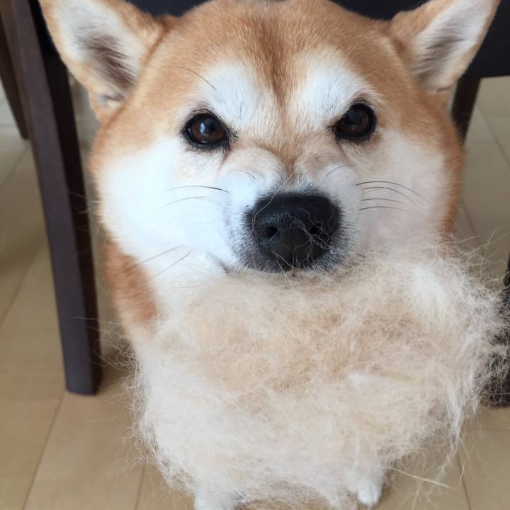 C475b19b 4a58 4022 b85c e278344abb1e 1610769843234