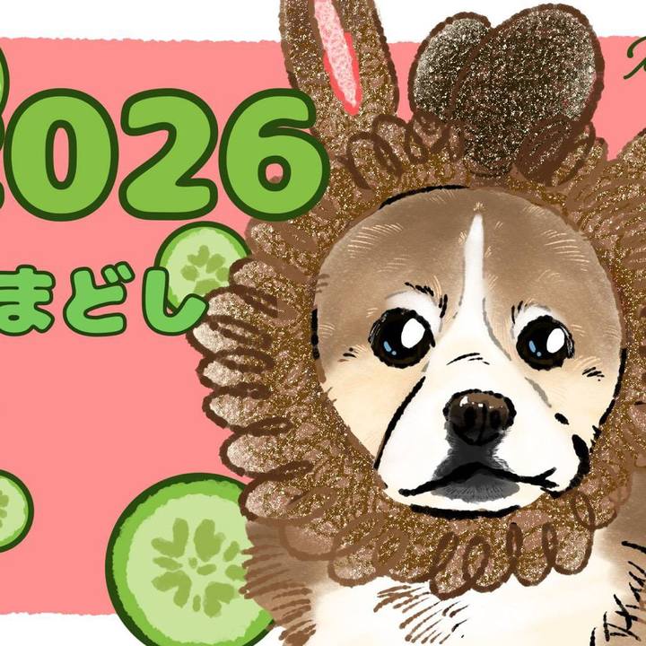 C475de1d edfb 4928 8a1c 57c3dadc2005 1767046000556