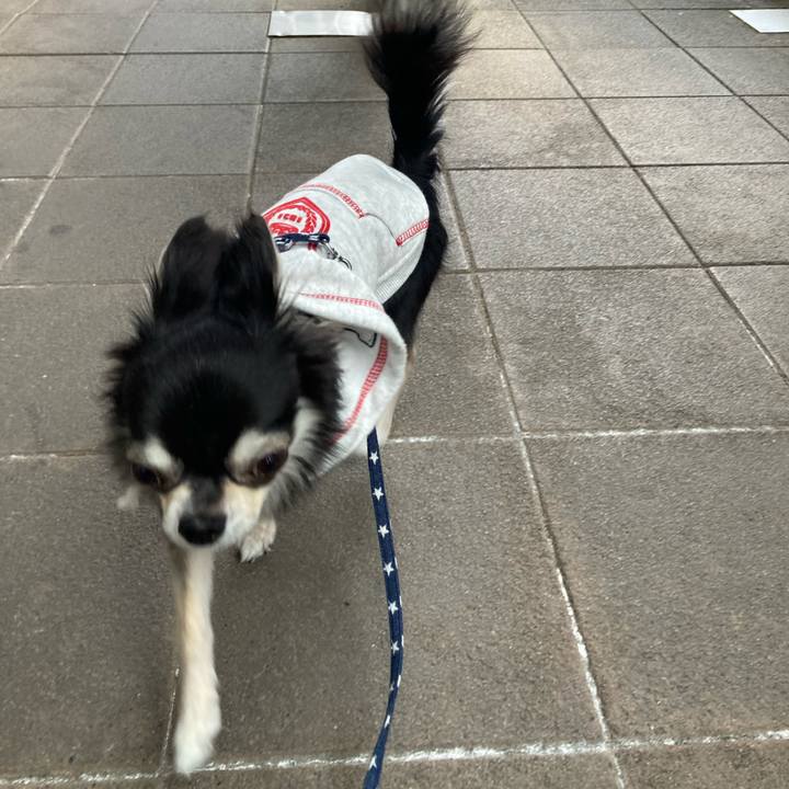 C475e064 0f95 47a4 9acf 84f5637dbeaa 1648993052256