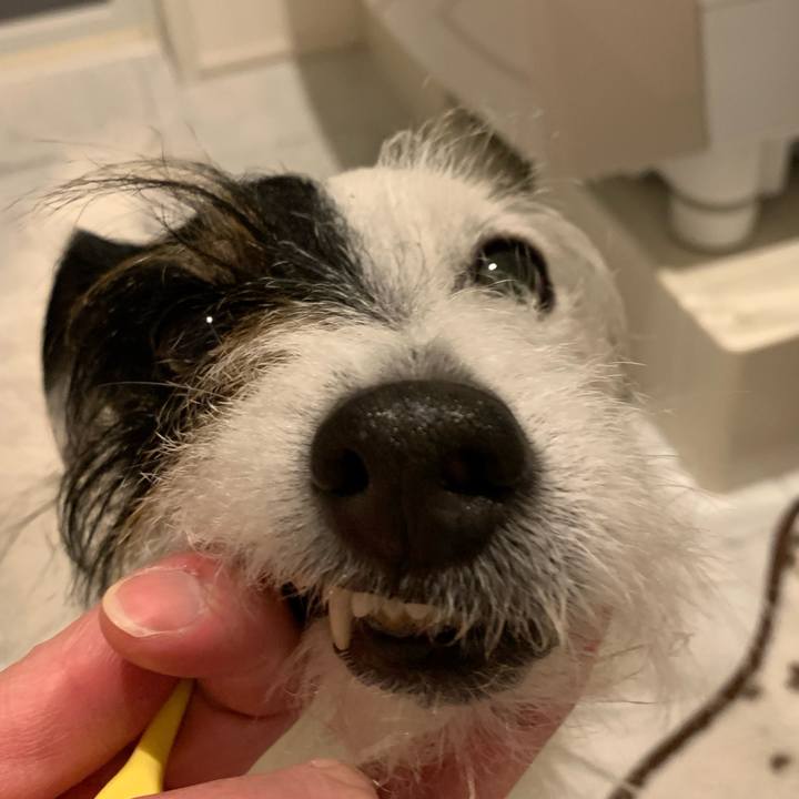 C4763874 36fa 45b8 ba95 69560f539d2b 1678799304352