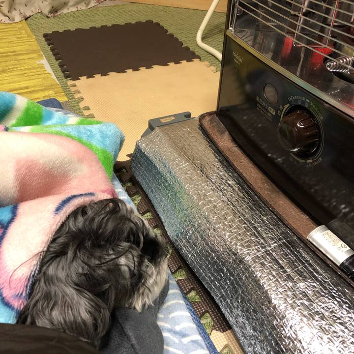 C4765342 dfbf 457c a6f4 725e68cdc613 1675940355386