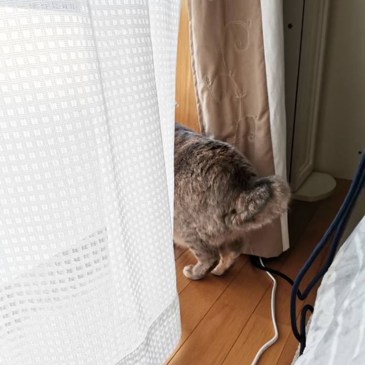 C47674d6 ec97 424a 8b82 b0739debf974 1607156731483