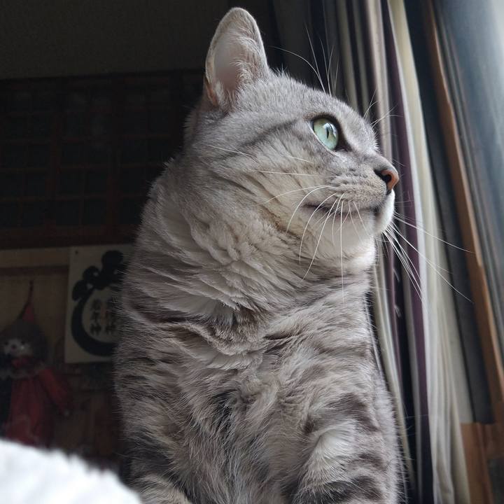 C4767525 f4de 4326 a52f 4d159ef586ca 1593531121022