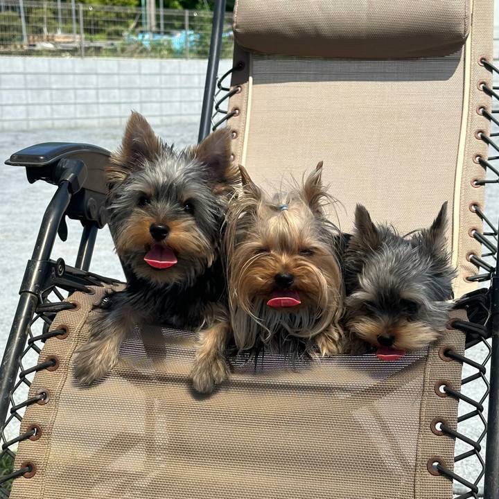 C4768892 c58b 4a55 bd20 80c0dffab138 1714808044017