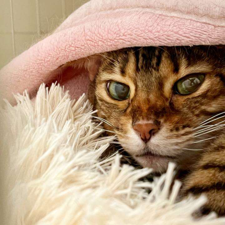 C476986b 2762 492d 8403 bb4eacde53ef 1704154824010