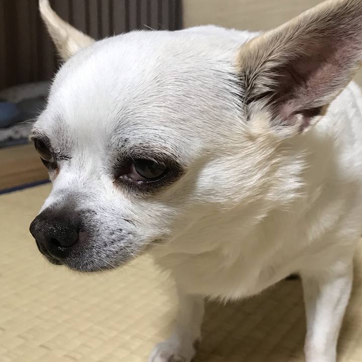 C476b80c 8d08 475d 97ee 61be628c5674 1603455718731