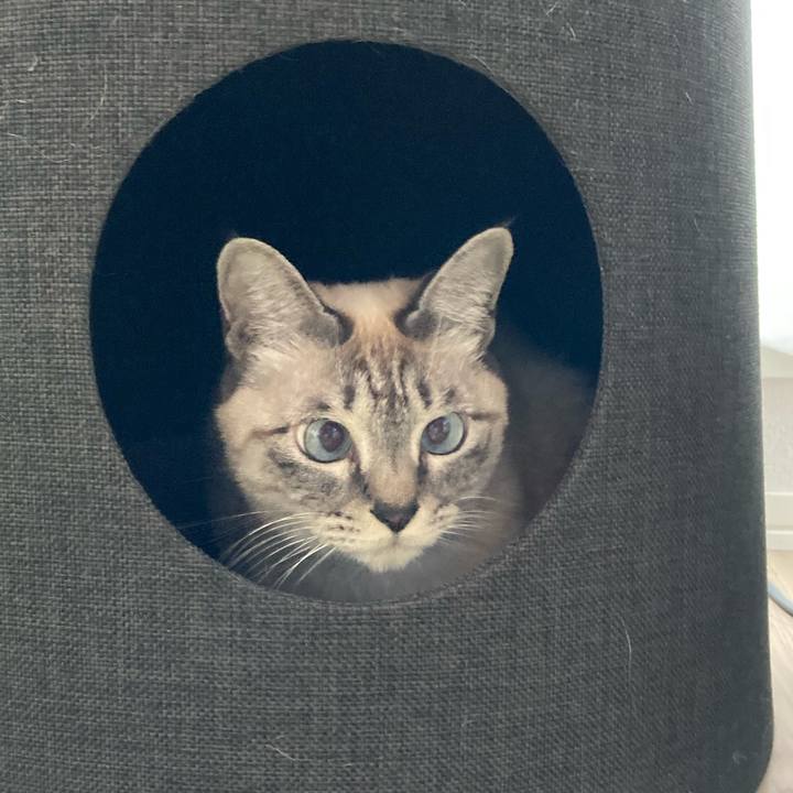 C476cf56 080e 4757 b81d f40ffcfcb4ae 1642208854356