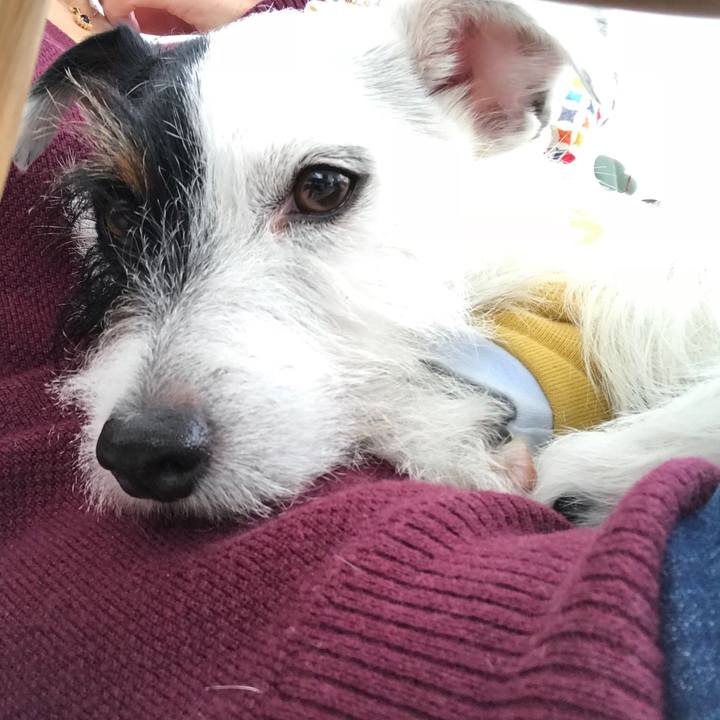 C476df69 244d 40ef a73c 87dd43e4ed28 1513646115870