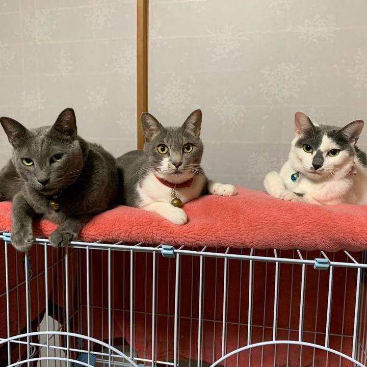 C476e6d8 582b 4b95 9145 c209d2bf2c2c 1576359809060