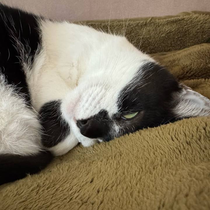 C4770cc1 e377 4100 95de 1f087adbf64b 1760494001629