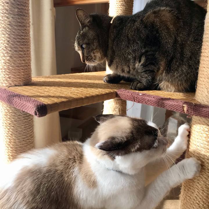 C4770e21 edbb 45b4 9260 3c0c3badb8cf 1608266917518