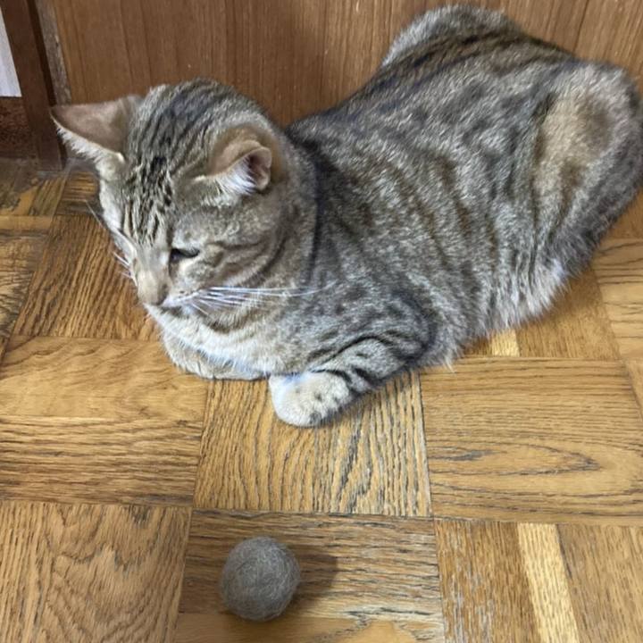 C4772dc9 65e7 49a7 a71c 7a74f23ee284 1609252006154