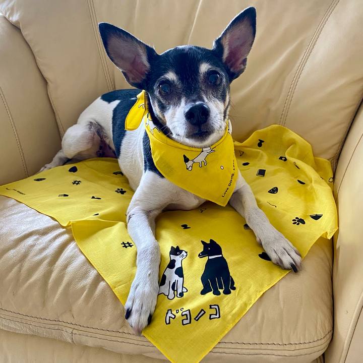 C47763fb d14b 4a9f ac90 53b3ba743155 1763129913915