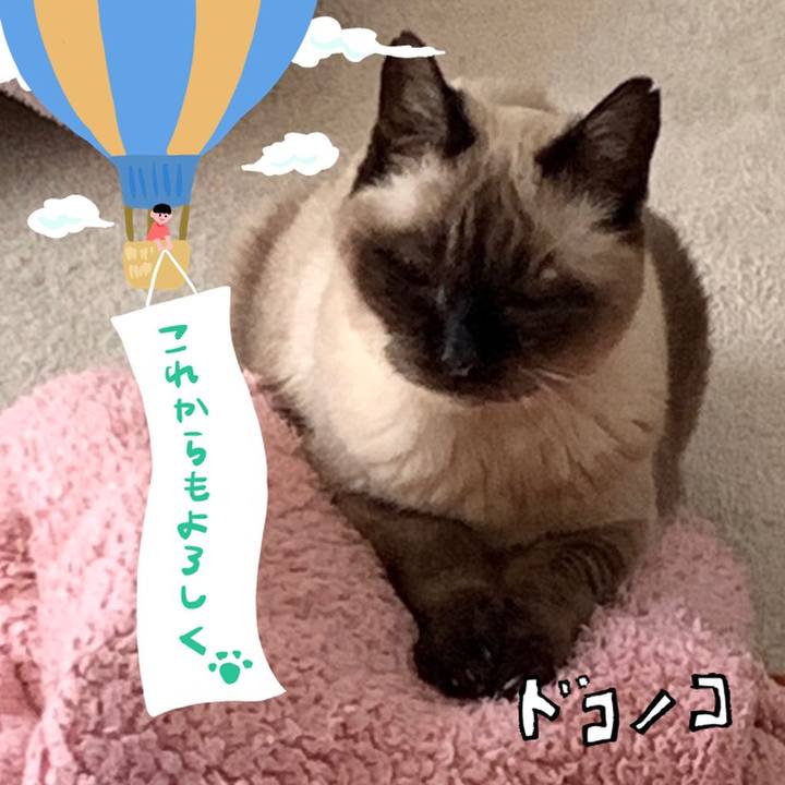 C477b777 186d 4970 b6ce 185ba583a550 1685952584874