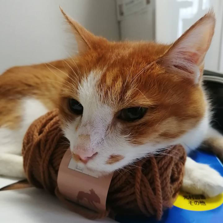 C477c71c 0f0b 46d1 8fd4 71251269eabf 1625783993306