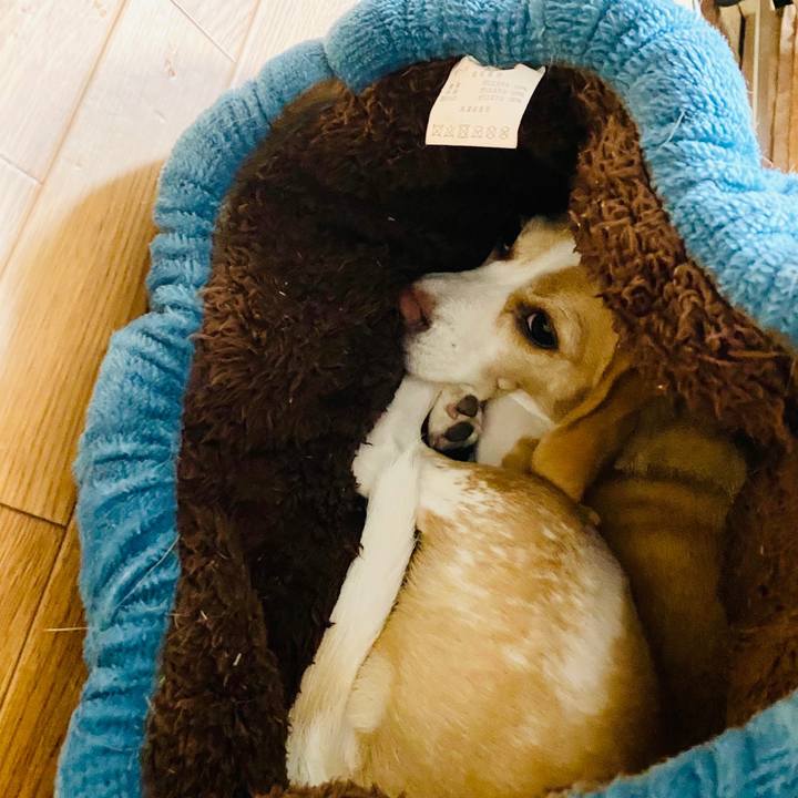 C4780231 2dc6 4b0c a9f5 c37fc5386a0d 1665483344883