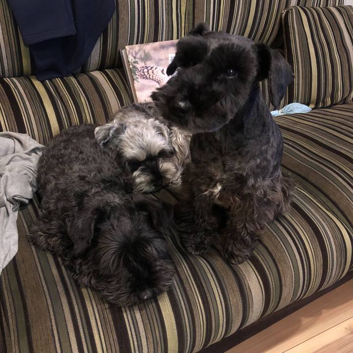 C47802e6 35dd 4a3d bd8c ed68c2ad1f5a 1518554529403