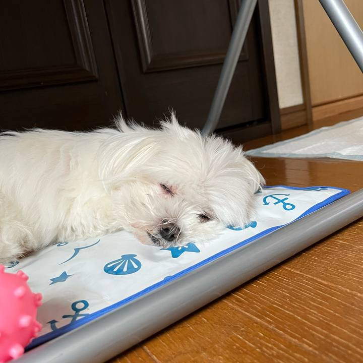 C4781a04 c946 4ce9 9762 5a50b9f78683 1692493235771