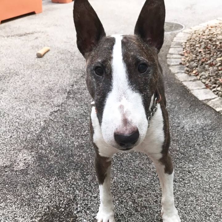 C478705e 4e25 4f38 9c65 bebd030eec5a 1509609706011