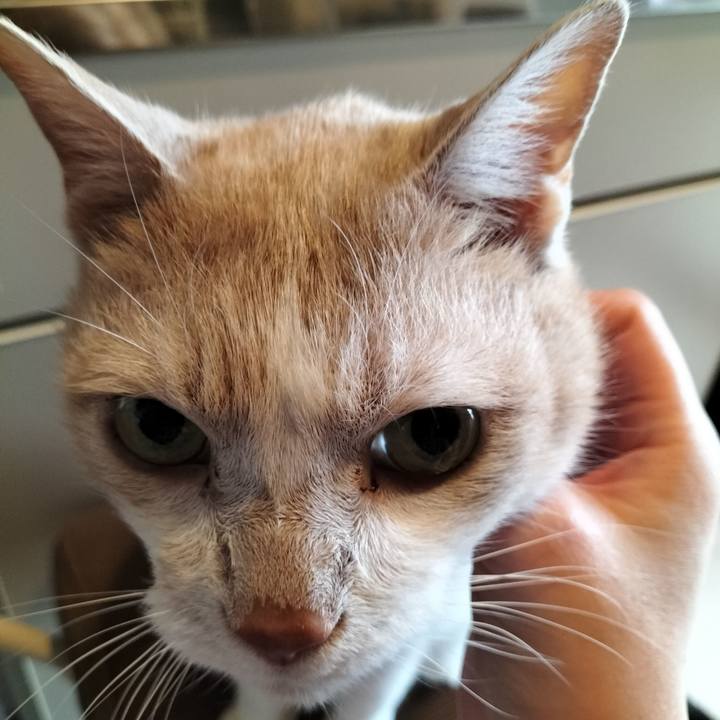 C47893bd ec5e 4eb5 92ba b8354bdef6c9 1658011339556