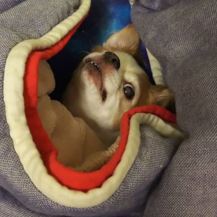 C478e355 5cfe 4b60 9892 d771f4986402 1586735539171