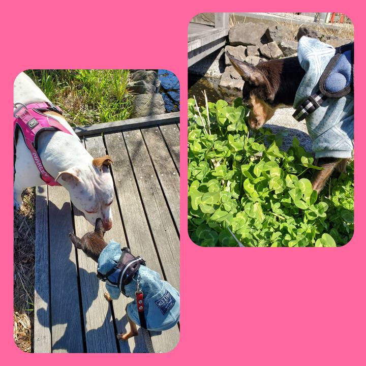 C47939f4 88df 4716 8ea5 d1188a092c88 1710389186683