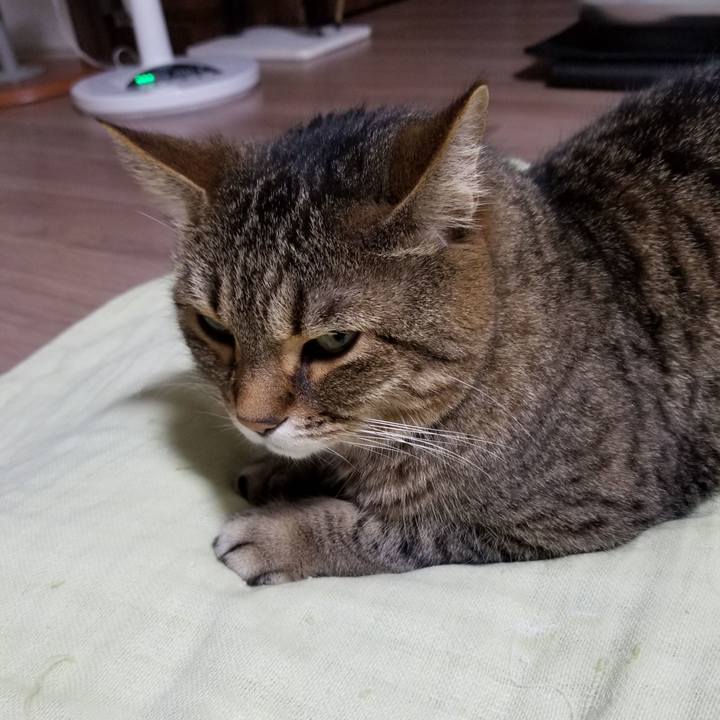 C4795572 33f4 406e 9313 bc26e8e32367 1623415329501