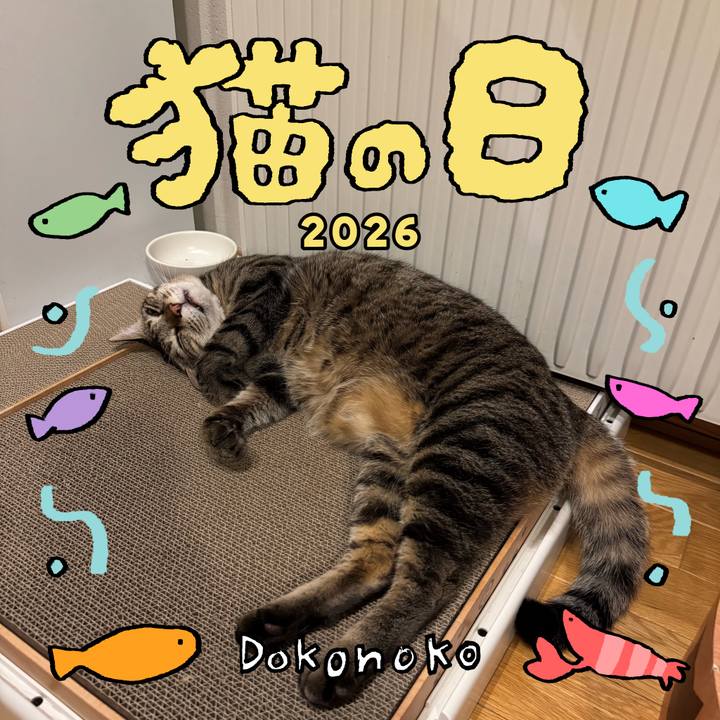 C4795955 1926 4ee4 af0d 14ef30a8f4f2 1771762627730