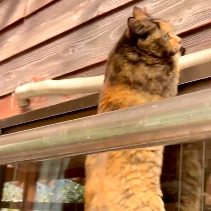 C4795b22 84f0 4436 a11a fc868ad84ecd 1762153704380