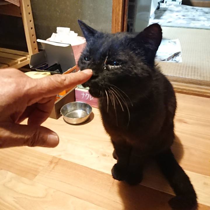 C4795b6c c949 4636 b1a4 a835c1395358 1623240413194