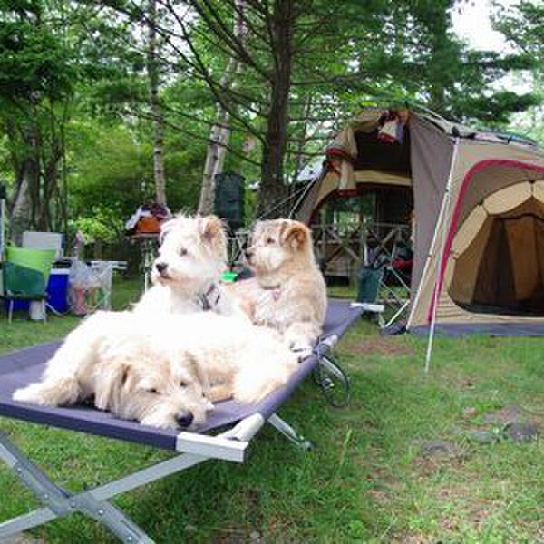 C479605c 7339 4675 8c32 fa99701d0e9d 1622506729826